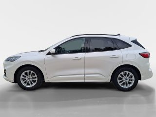Ford Kuga 2,0 EcoBlue Hybrid ST-Line Aut.