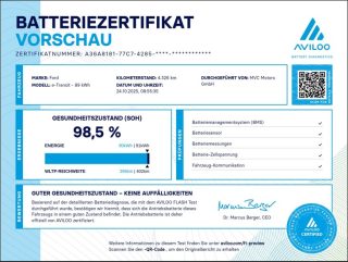 Ford E-Transit Kasten 67kWh/198kW L2H2 350 Trend