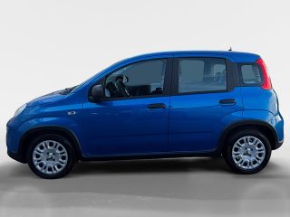 Fiat Panda MY24 (Serie 7)-319.1NH.7