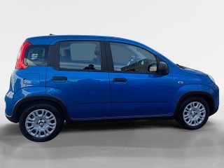 Fiat Panda MY24 (Serie 7)-319.1NH.7