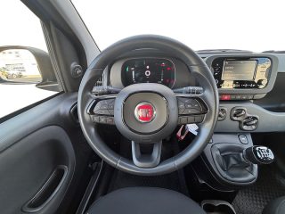 Fiat Panda MY24 (Serie 7)-319.1NH.7