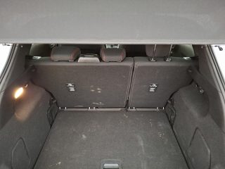 Ford Puma 1.0 l EcoB. Hybrid 92kW ST-Line Auto