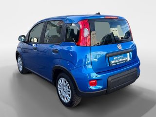 Fiat Panda 4x2 FireFly Hybrid 70 Panda