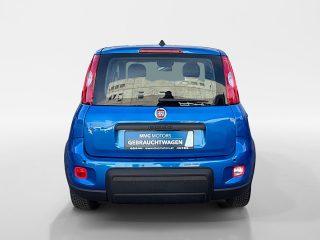 Fiat Panda 4x2 FireFly Hybrid 70 Panda