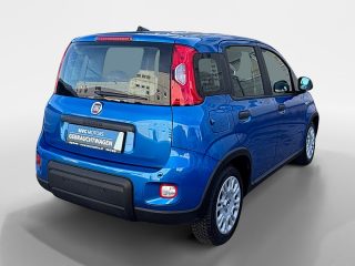 Fiat Panda 4x2 FireFly Hybrid 70 Panda