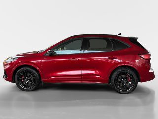 Ford Kuga 2.0 EcoBlue 88 kW 4WD ST-Line X Auto